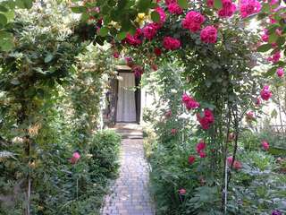 Гостевой дом Guesthouse Marta Одесса Стандартный трехместный номер-10